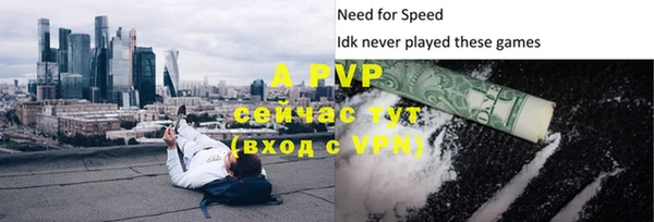 мдпв Вяземский