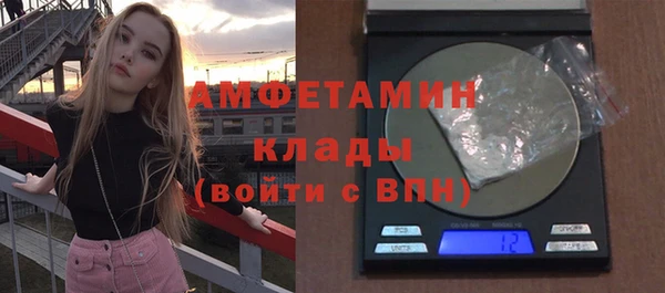 мдпв Вяземский