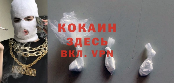 мдпв Вяземский