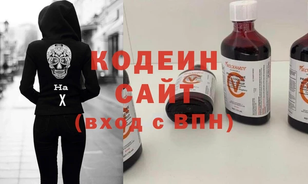 мдпв Вяземский