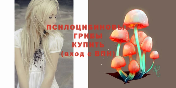 мдпв Вяземский