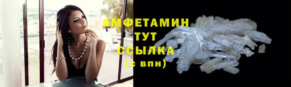 мдпв Вяземский