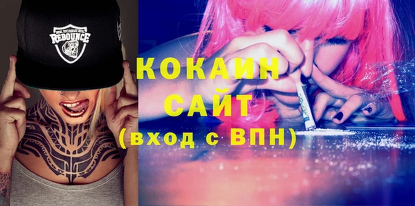мдпв Вяземский