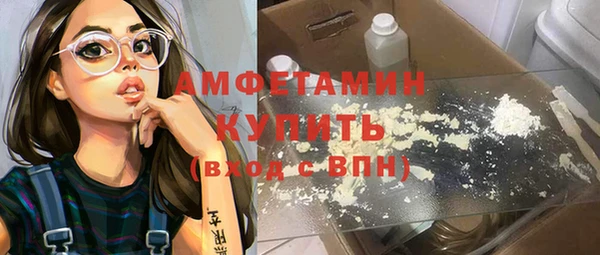 мдпв Вяземский