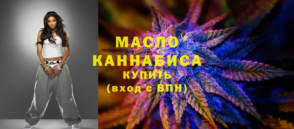 мдпв Вяземский