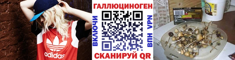 цены   Железногорск  Псилоцибиновые грибы мухоморы 